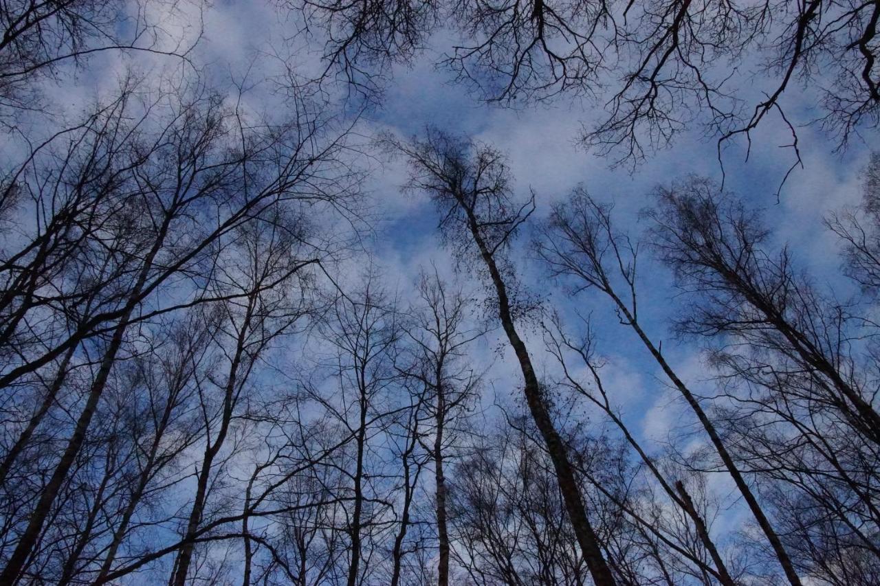 Gaestehaus Koehler Waldsolms Eksteriør bilde