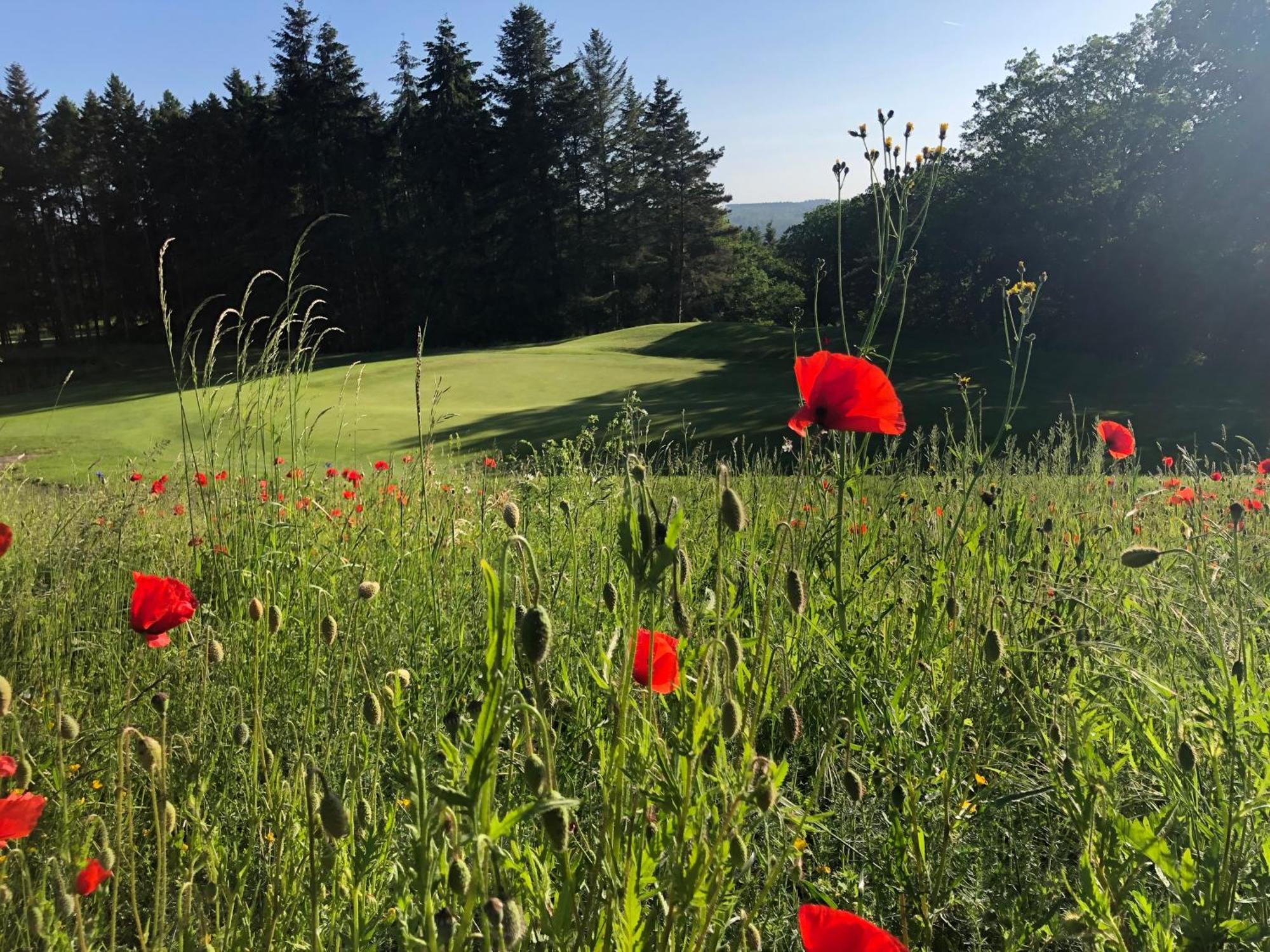Gaestehaus Koehler Waldsolms Eksteriør bilde