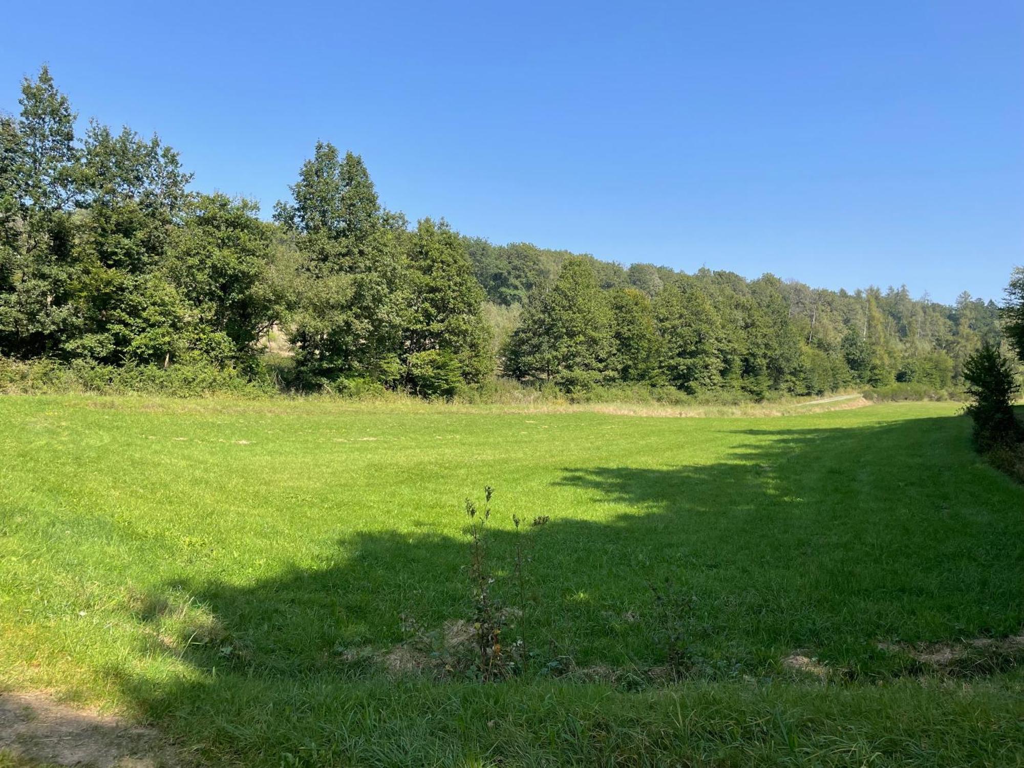 Gaestehaus Koehler Waldsolms Eksteriør bilde